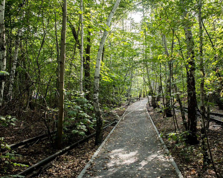 Old railroad tracks converted to walking paths in Natur-Park Schoneberger-Sudgelande
